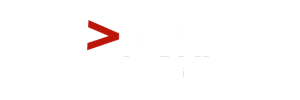 Developmi logo